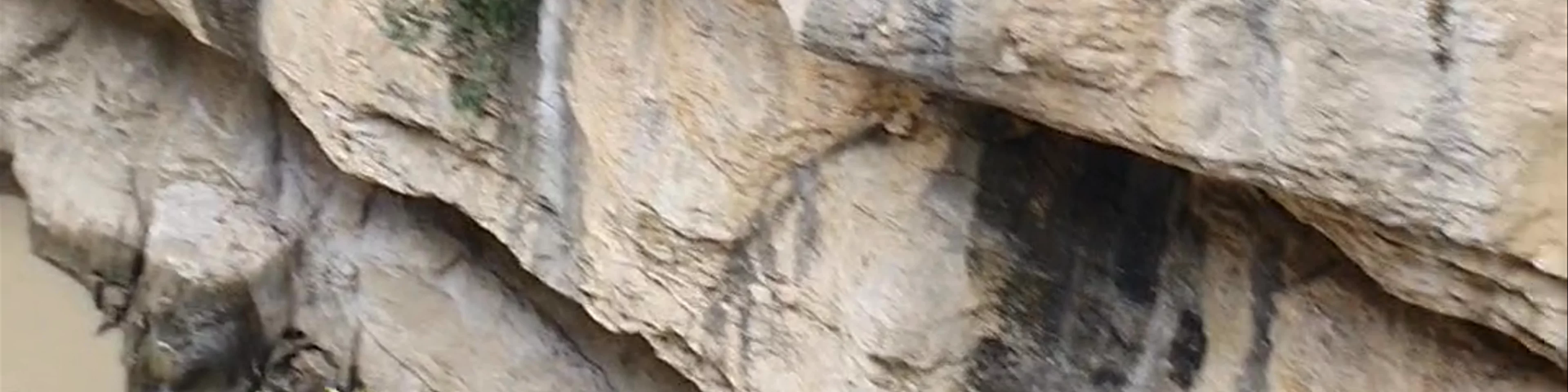 Ruta por la Foz de Lumbier