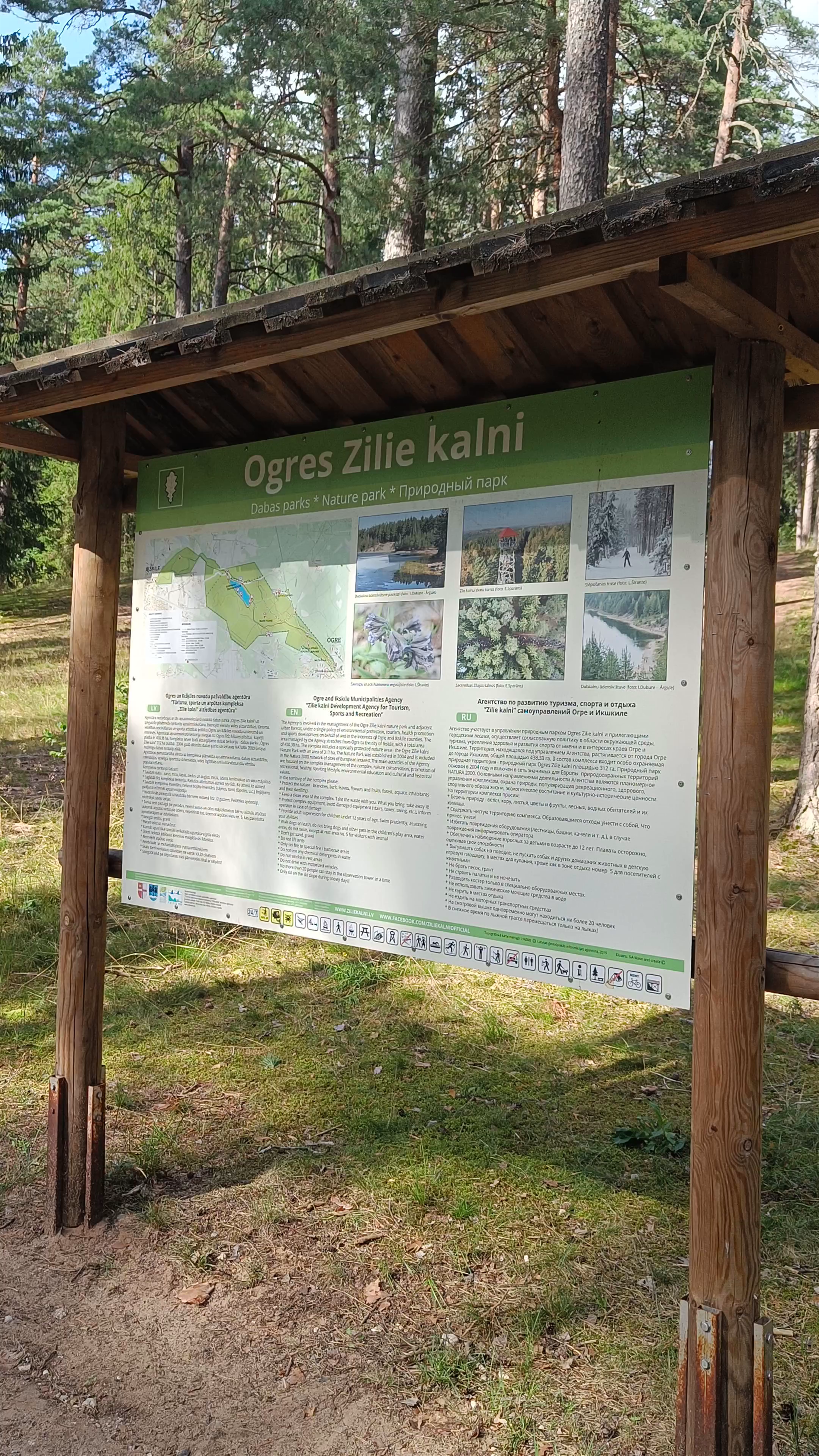 Zilie Kalni Nature Park Playground: A Forest Sanctuary for Families in Ogre, Latvia