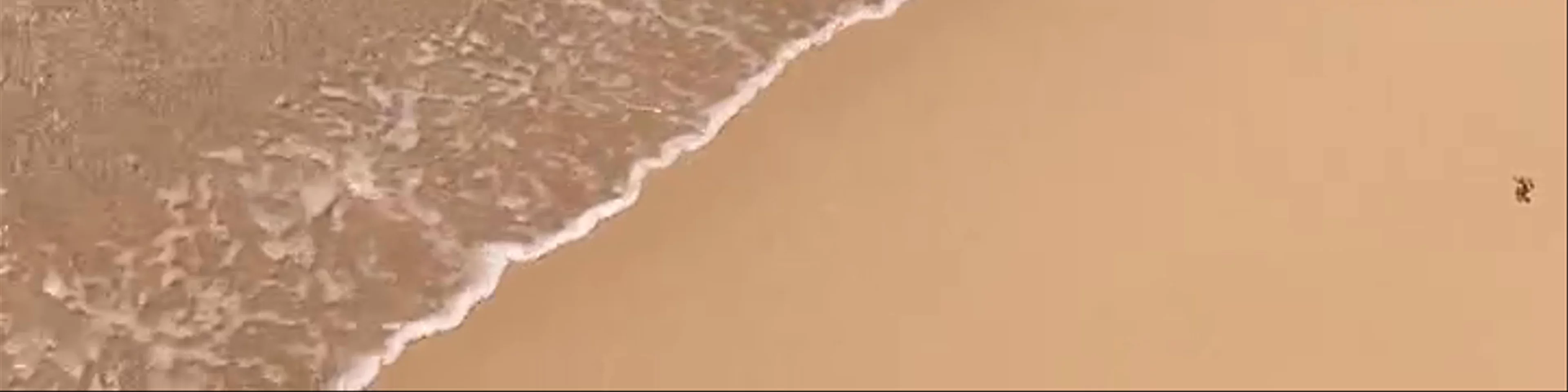 Tyre Beach