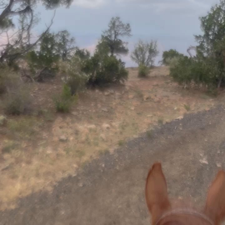 Video thumbnail 2 more videos