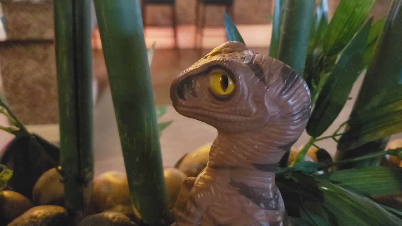 Kintaro - Willowick - Joe the Raptor has found the bar - Japanese Near Me - Willowick, Ohio