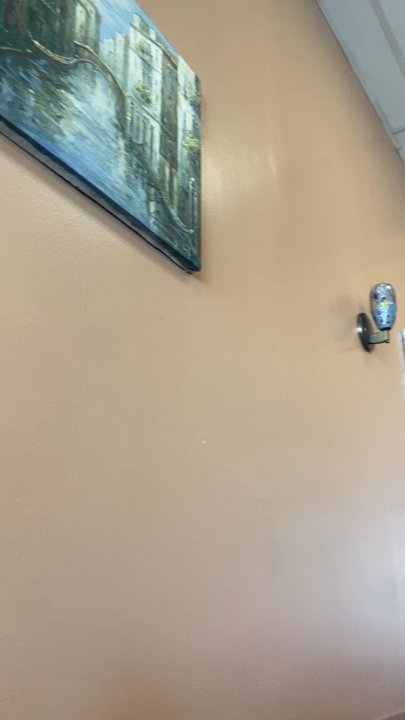 Peking Delight - Video of interior. - Chinese Near Me - San Ramon, California