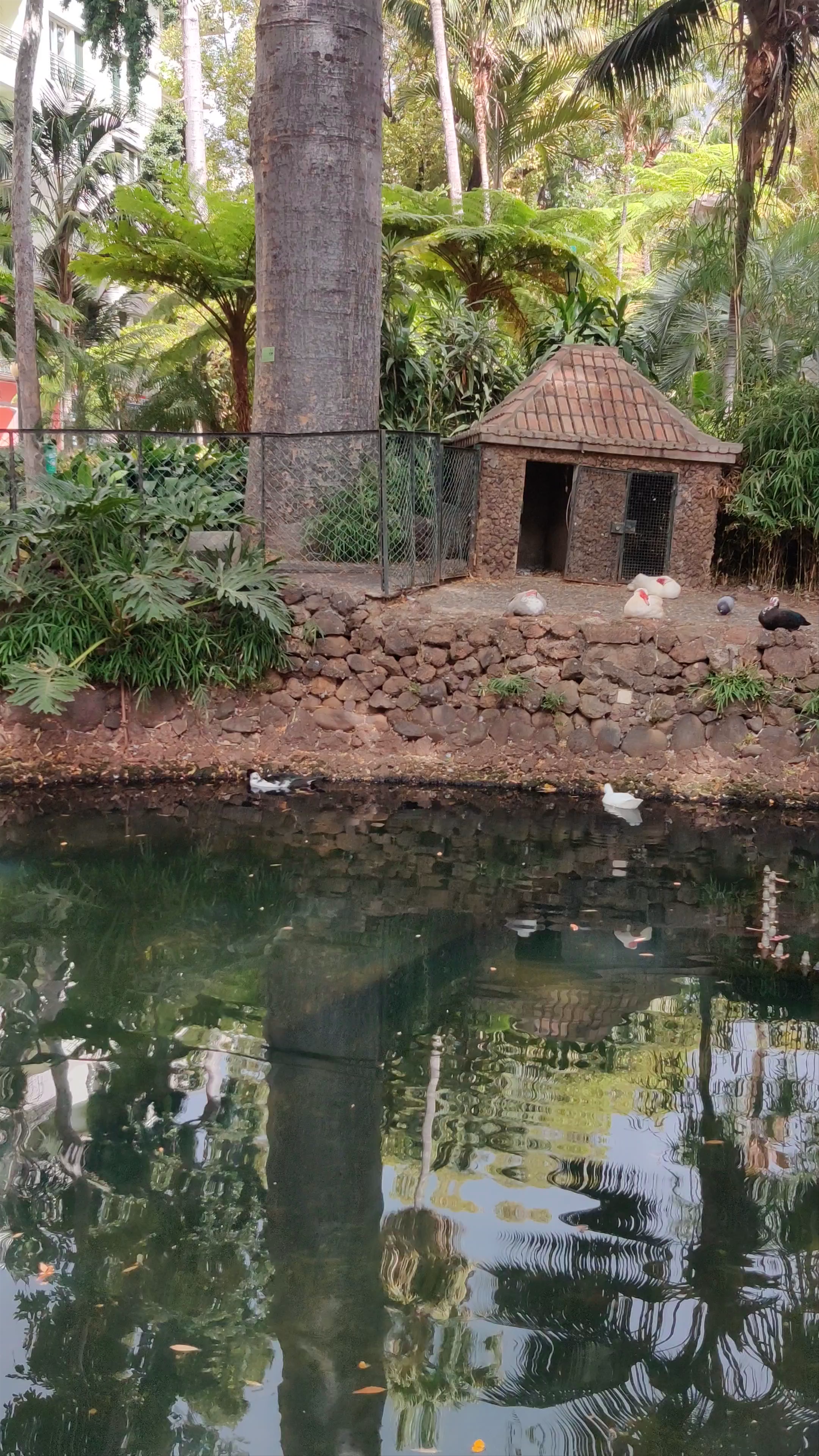 Serene Escape at Jardim Municipal do Funchal, Madeira