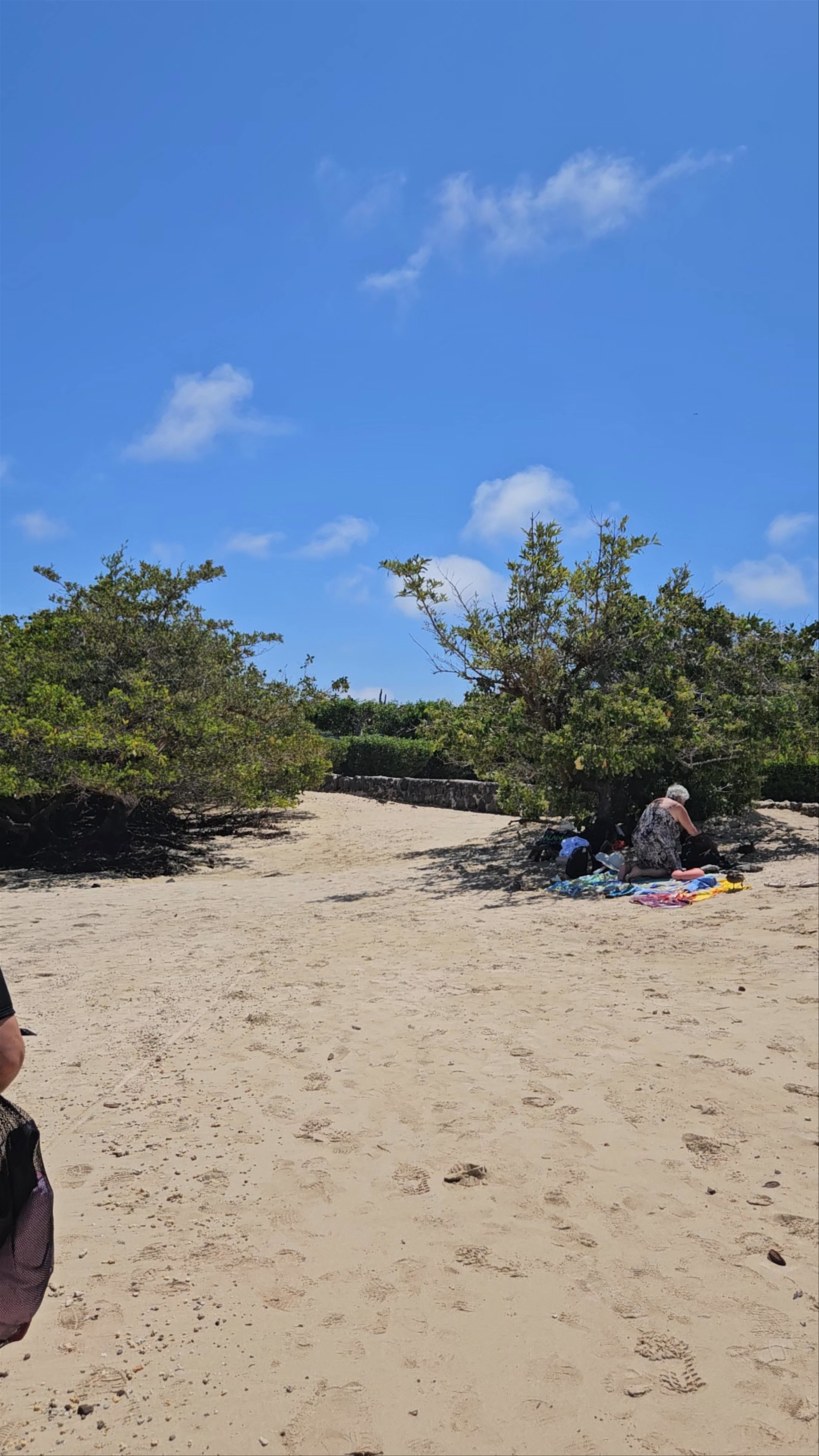 Playa los alemanes