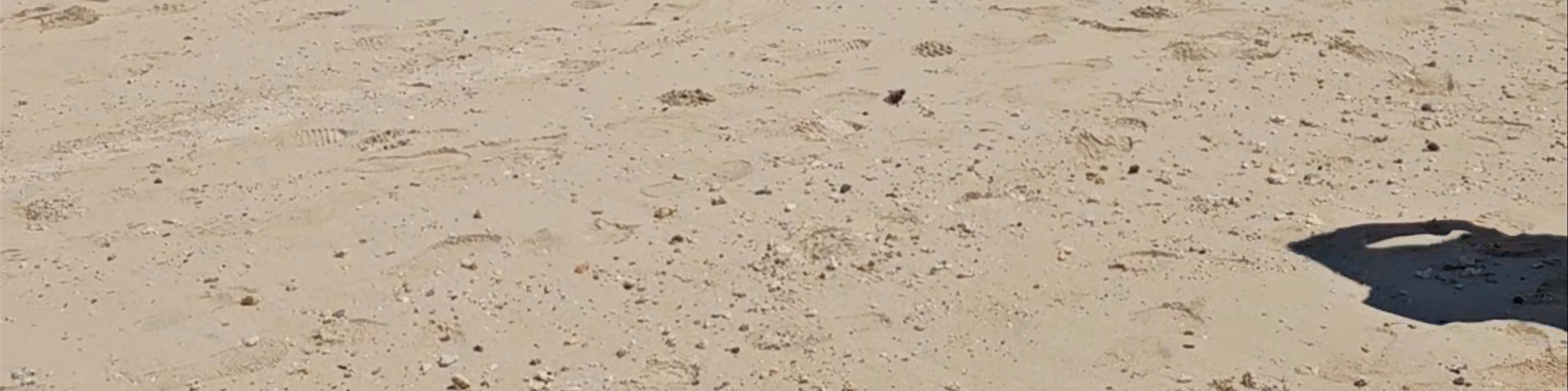 Playa los alemanes