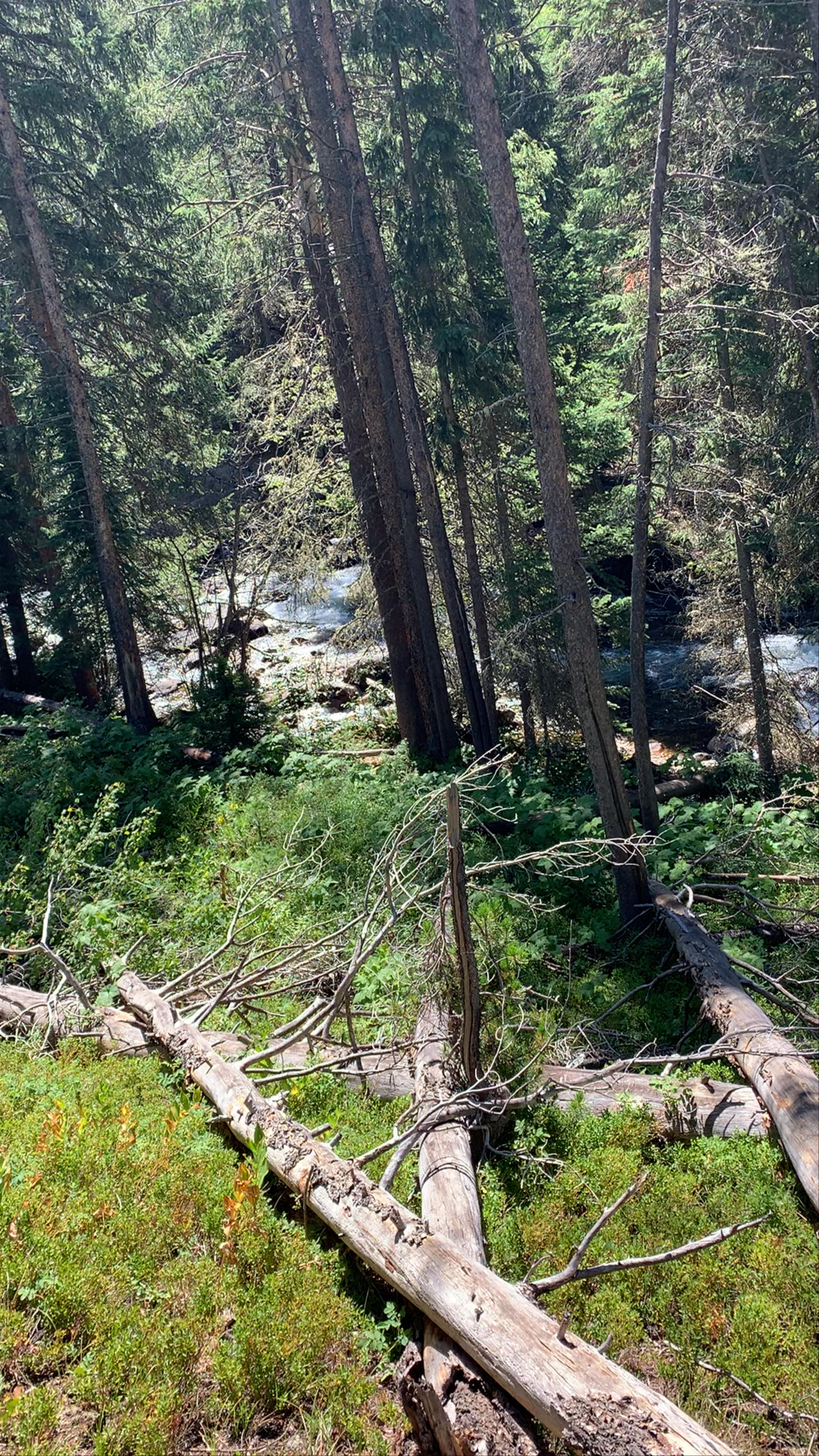 Arapaho & Roosevelt National Forests Pawnee National Grassland