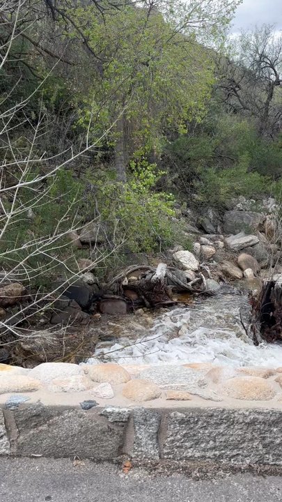 Sabino Canyon Crawler - Historical Tours Near Me - Tucson, Arizona