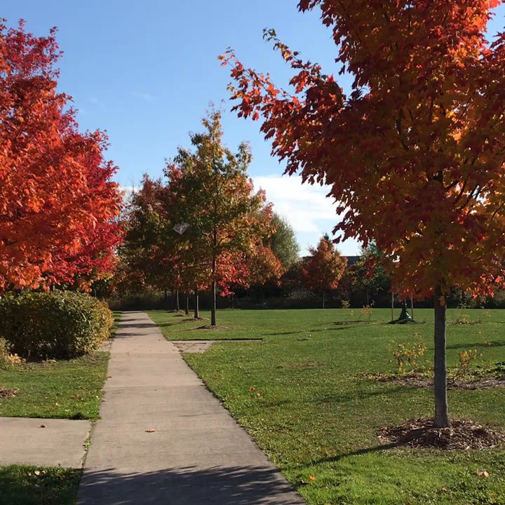 Wismer Park - Parks Near Me - Markham, Ontario
