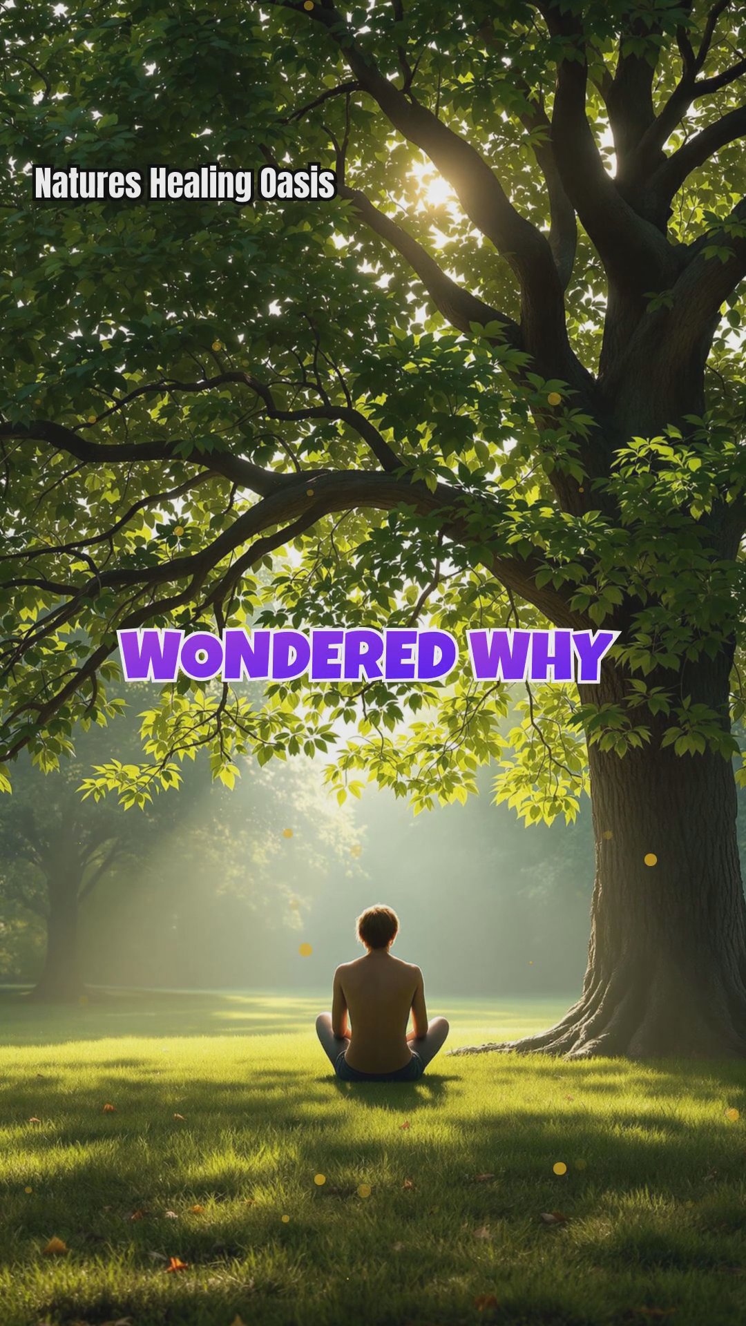 How Tree Shade Shapes Our Emotions: The Science of Dappled Light