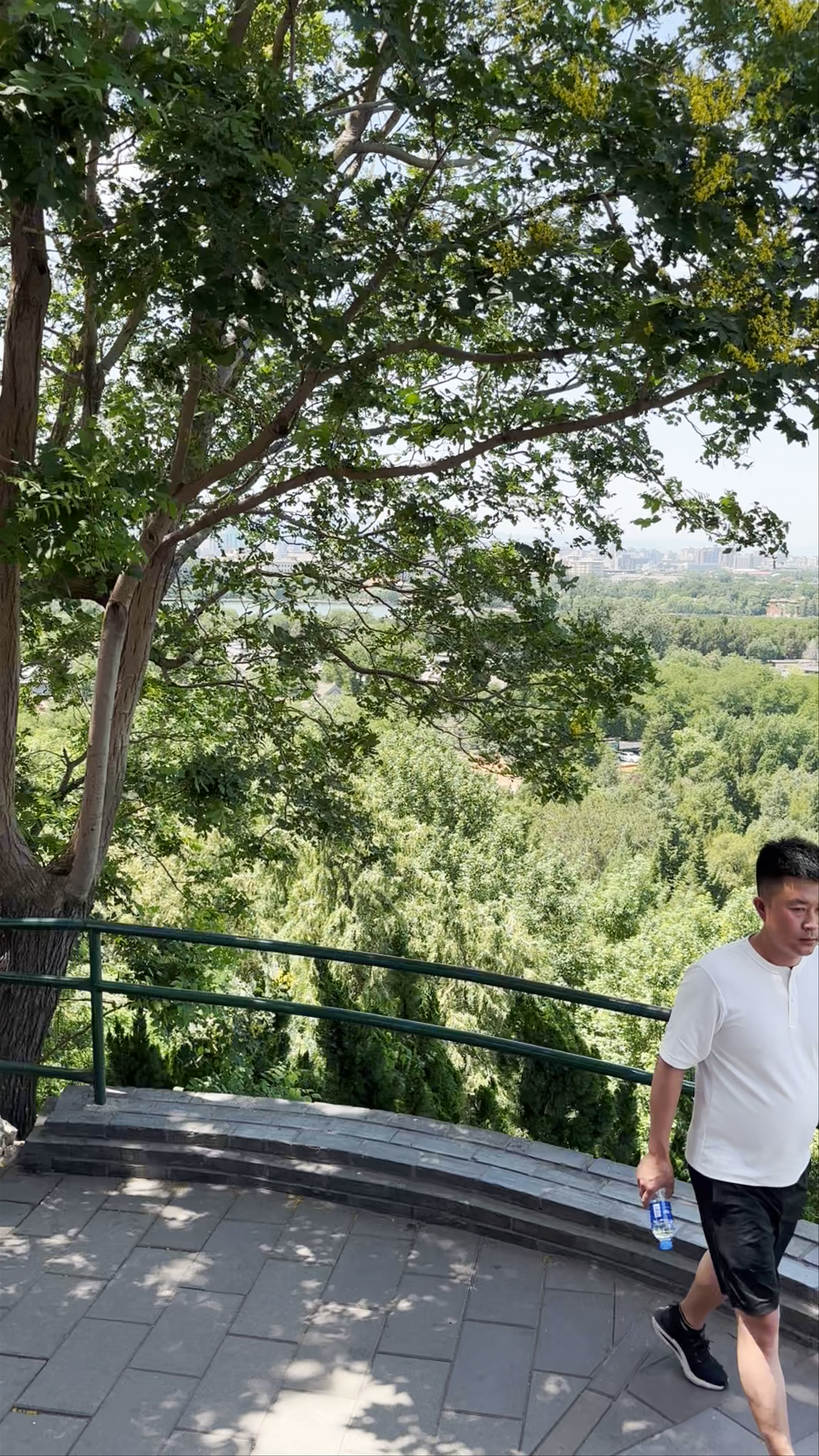 Breathtaking Panoramic Views from Jingshan Park, Beijing