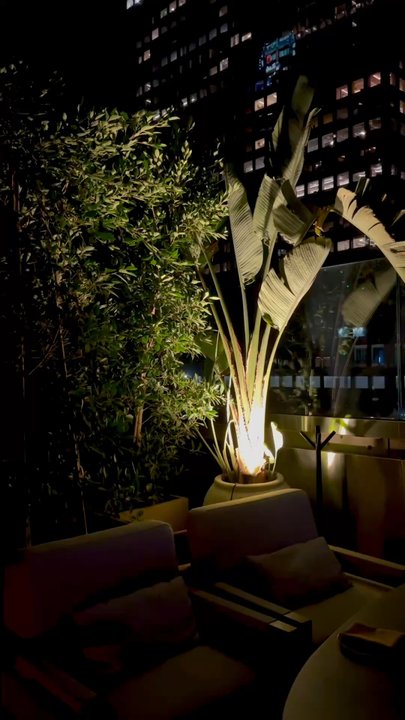 UCA TERRAZA - Updated April 2026 - 169 Photos & 57 Reviews - 550 S ...