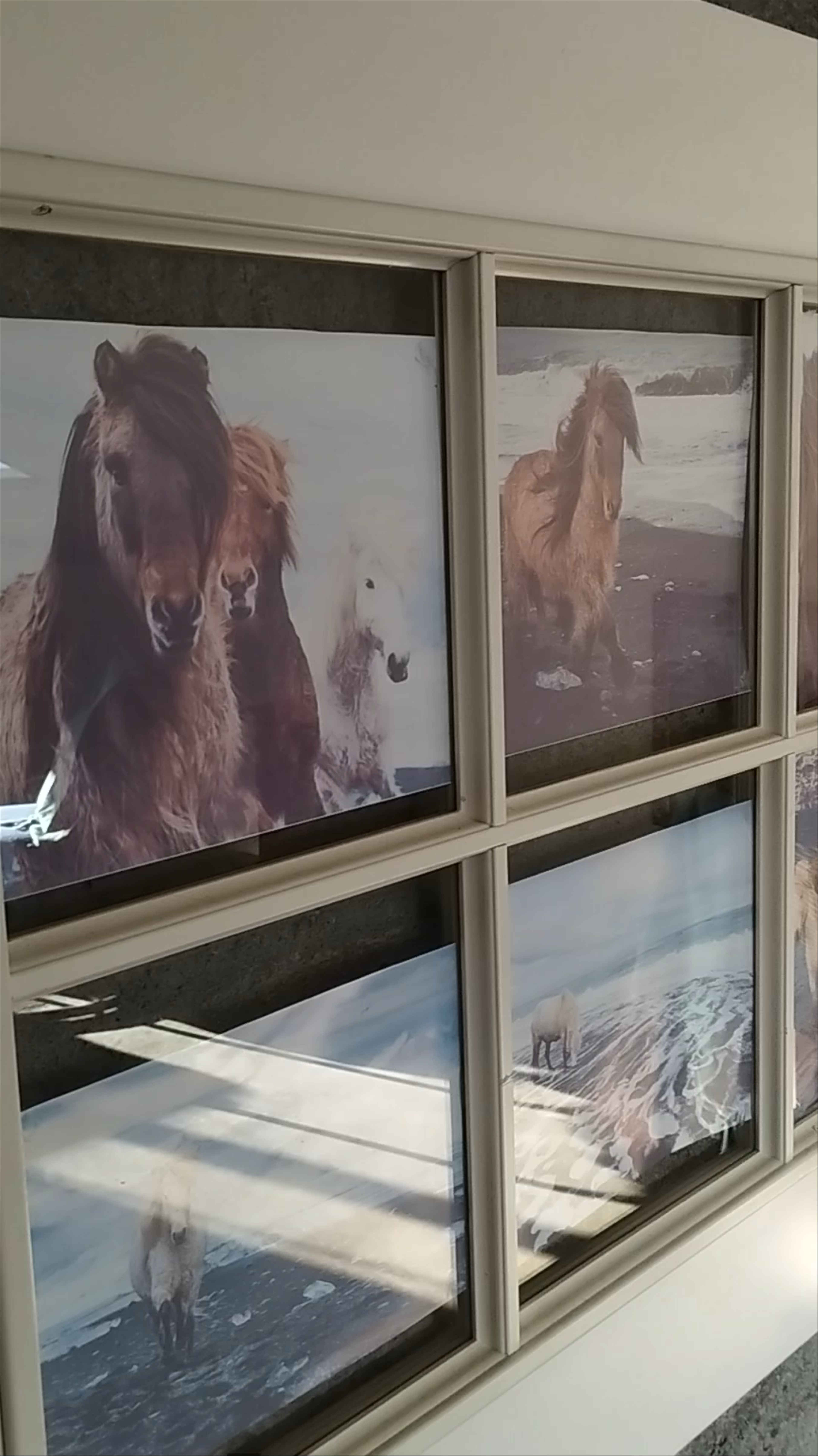 Lækjarhus Farm Holidays