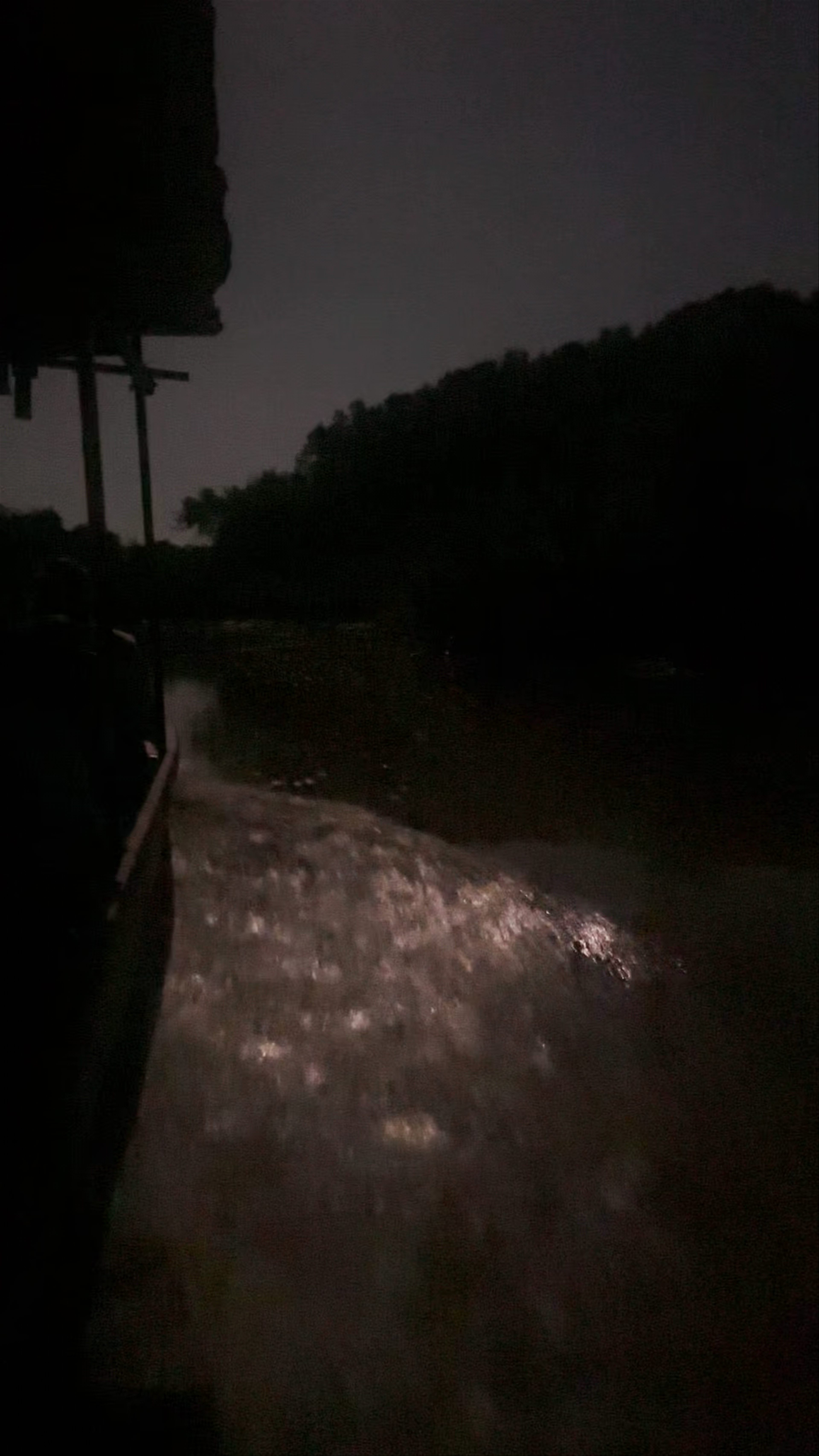 Mangrove tours Manuel Antonio / Manuel Antonio Experiences