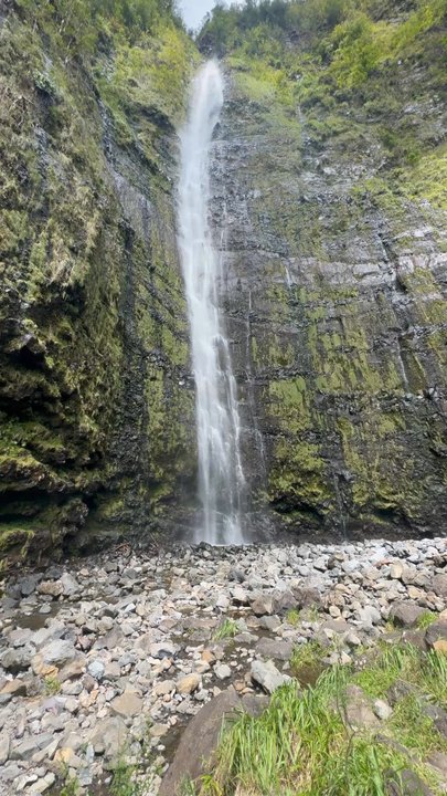 Maui Voyager - Not a waterfall visited along our tour.  But Greg will give you all the info and where and what to visit outside of his tours too.  FREE! - Tours Near Me