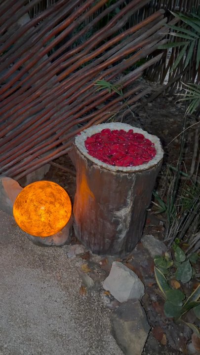 Kin Toh - Yucatan Near Me - Tulum, ROO