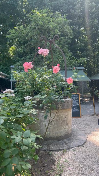 La Petite Venise - Italian Near Me - Versailles, 78