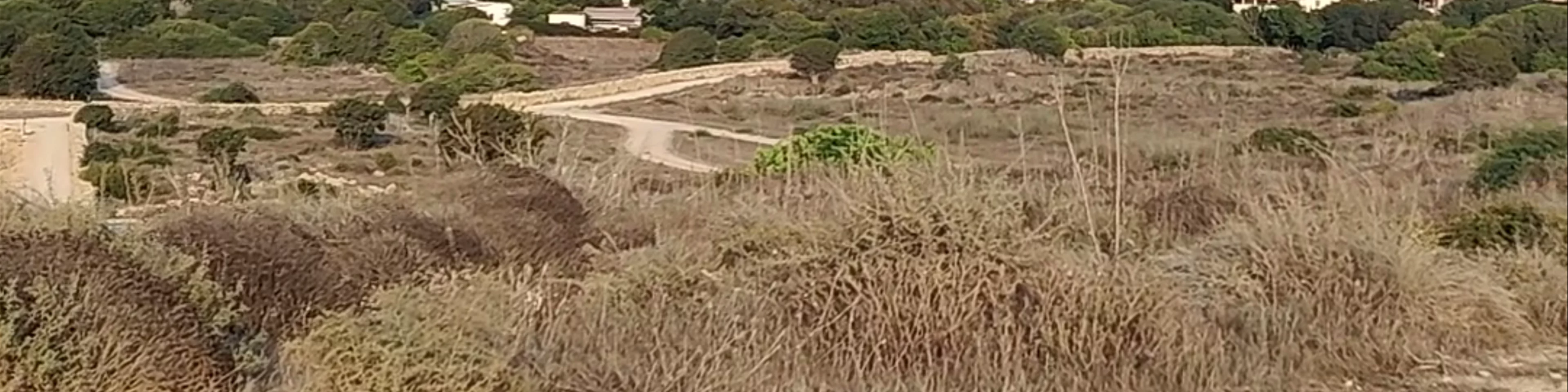 Nea Paphos