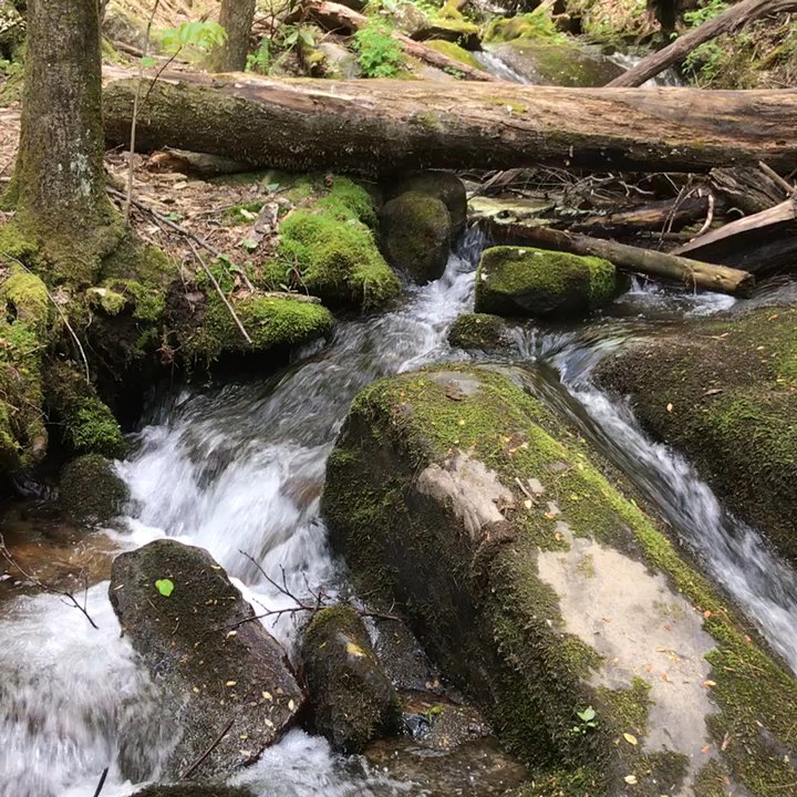 Red Apple Cabin - Vacation Rentals Near Me - Blue Ridge, Georgia