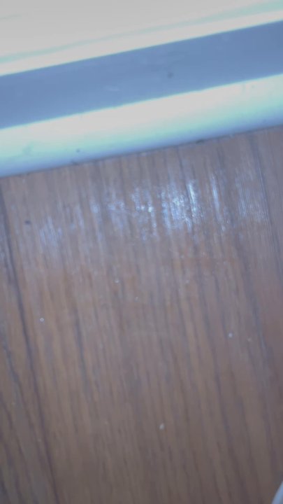Cason Estates Apartments - There would've been more water in this video but unfortunately my curtains had been soaking it up the entire time. Ruined my curtains - Apartments Near Me - Murfreesboro, Tennessee
