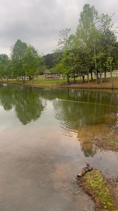 Cosby Lake - Cosby Lake residents - Lakes Near Me - Pinson, Alabama