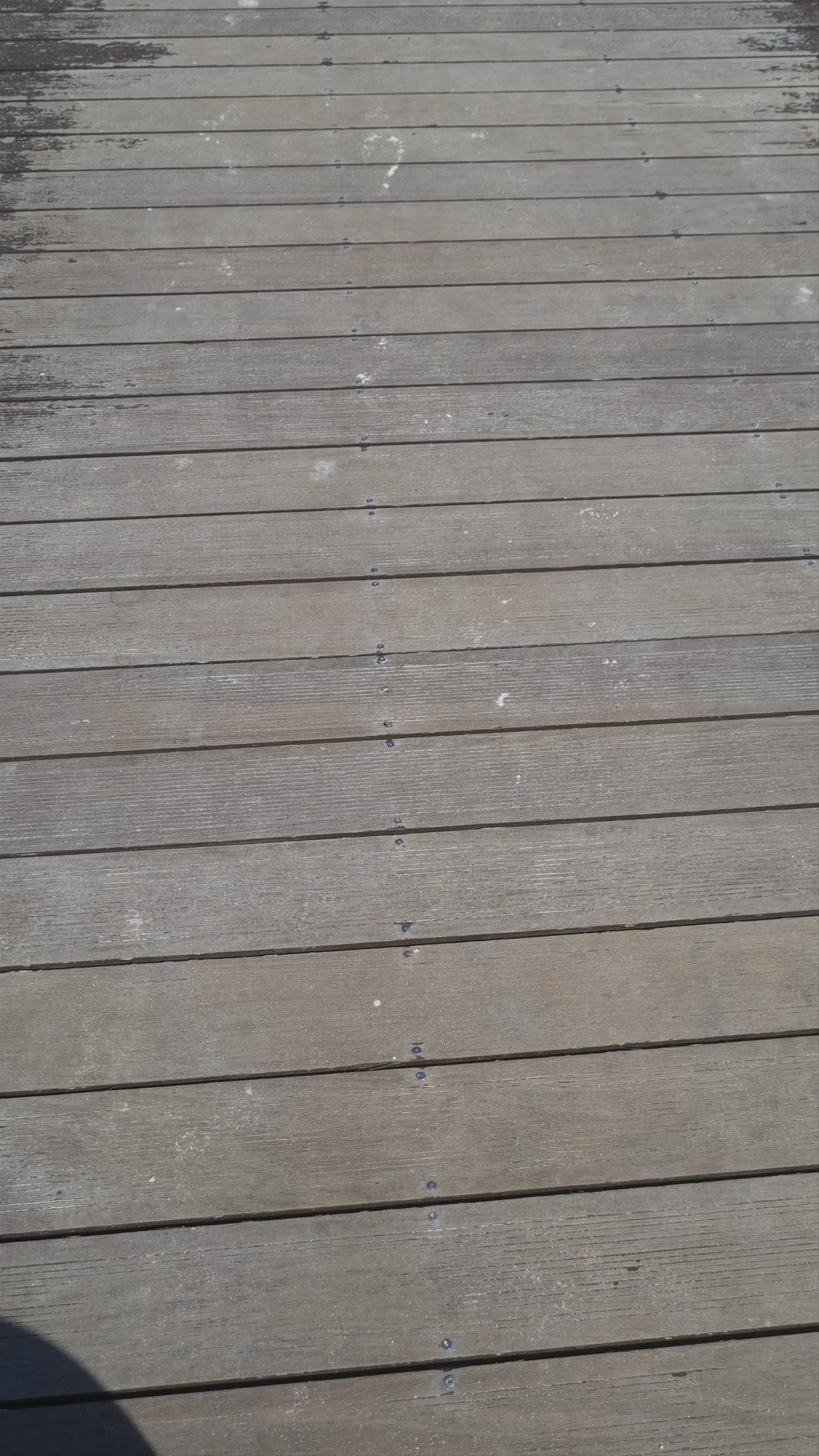 Iberostar Rose Hall Beach