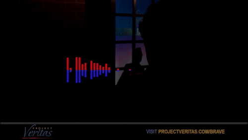 Video Thumbnail Loop