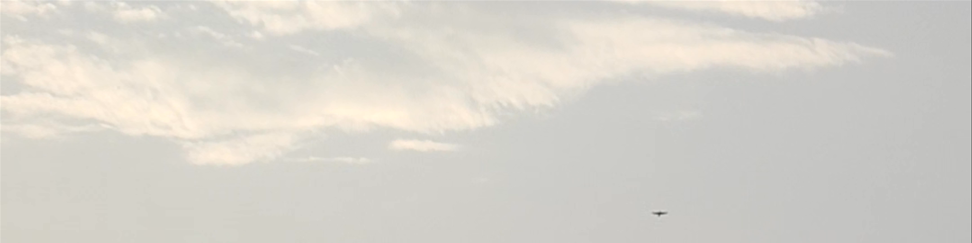 Rajasthan