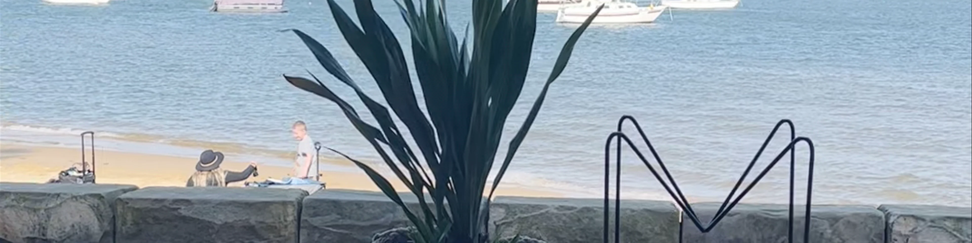 The BOX on the Water