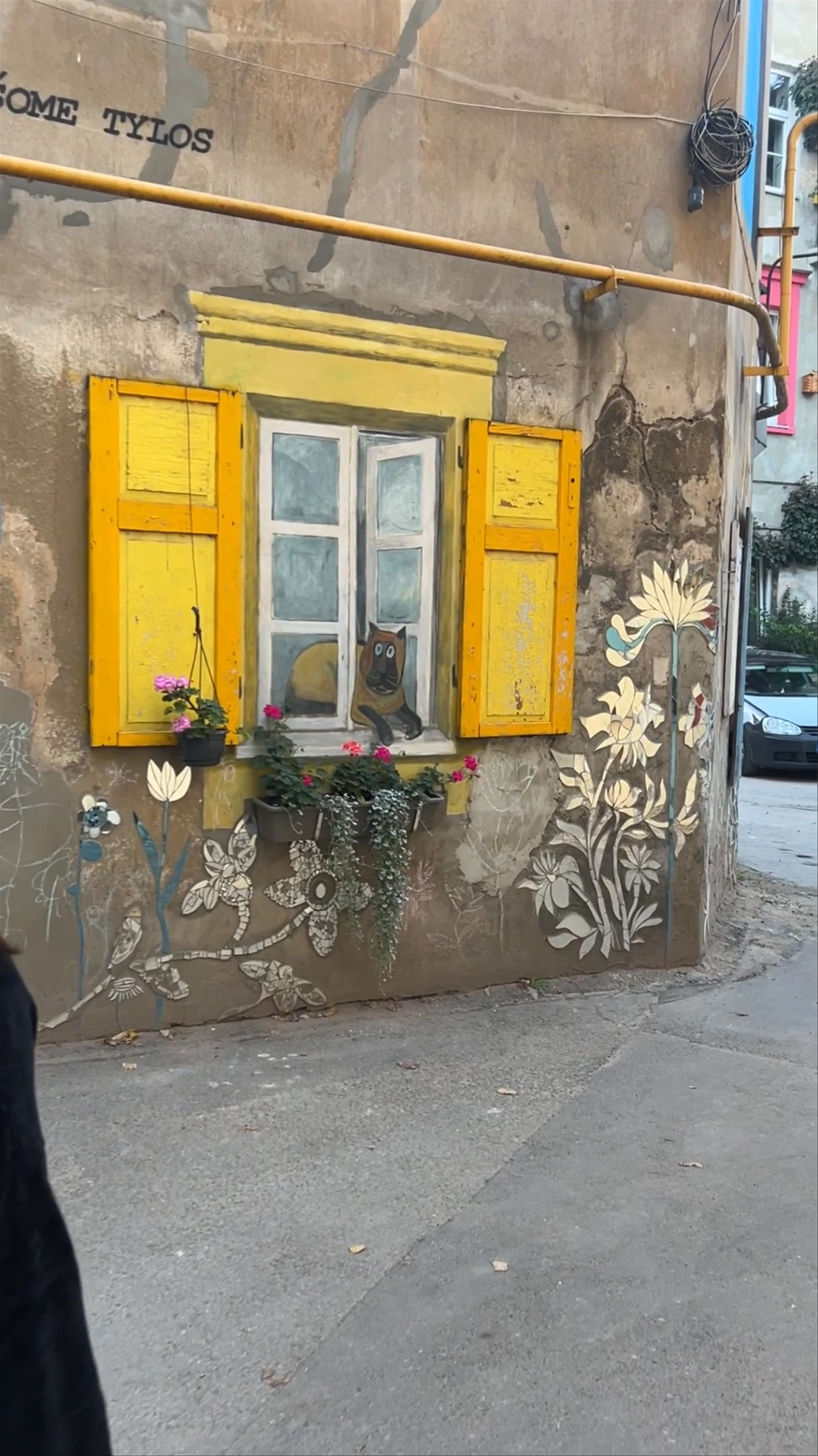 Kiemo Galerija
