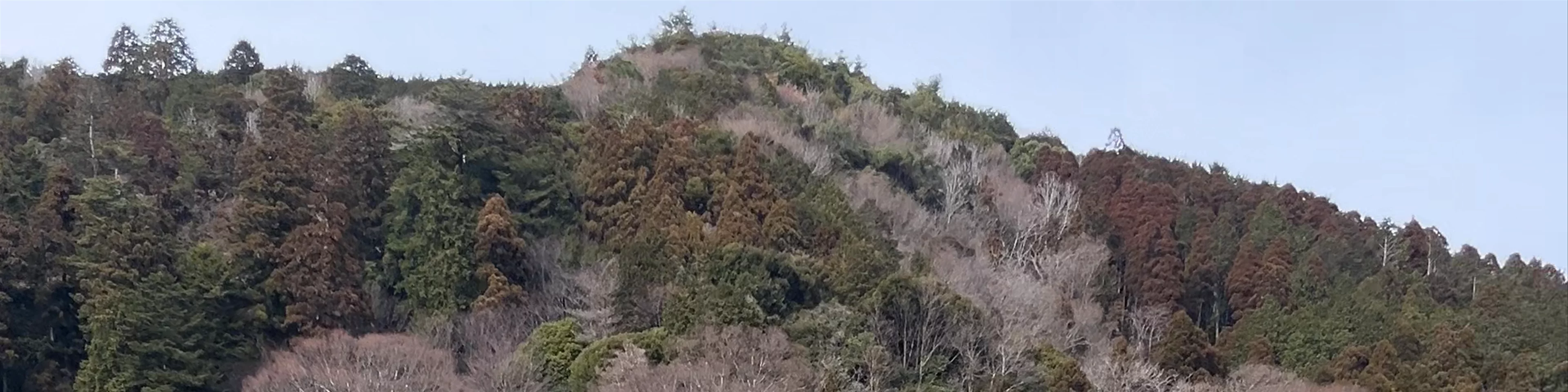 Okiyome Bridge
