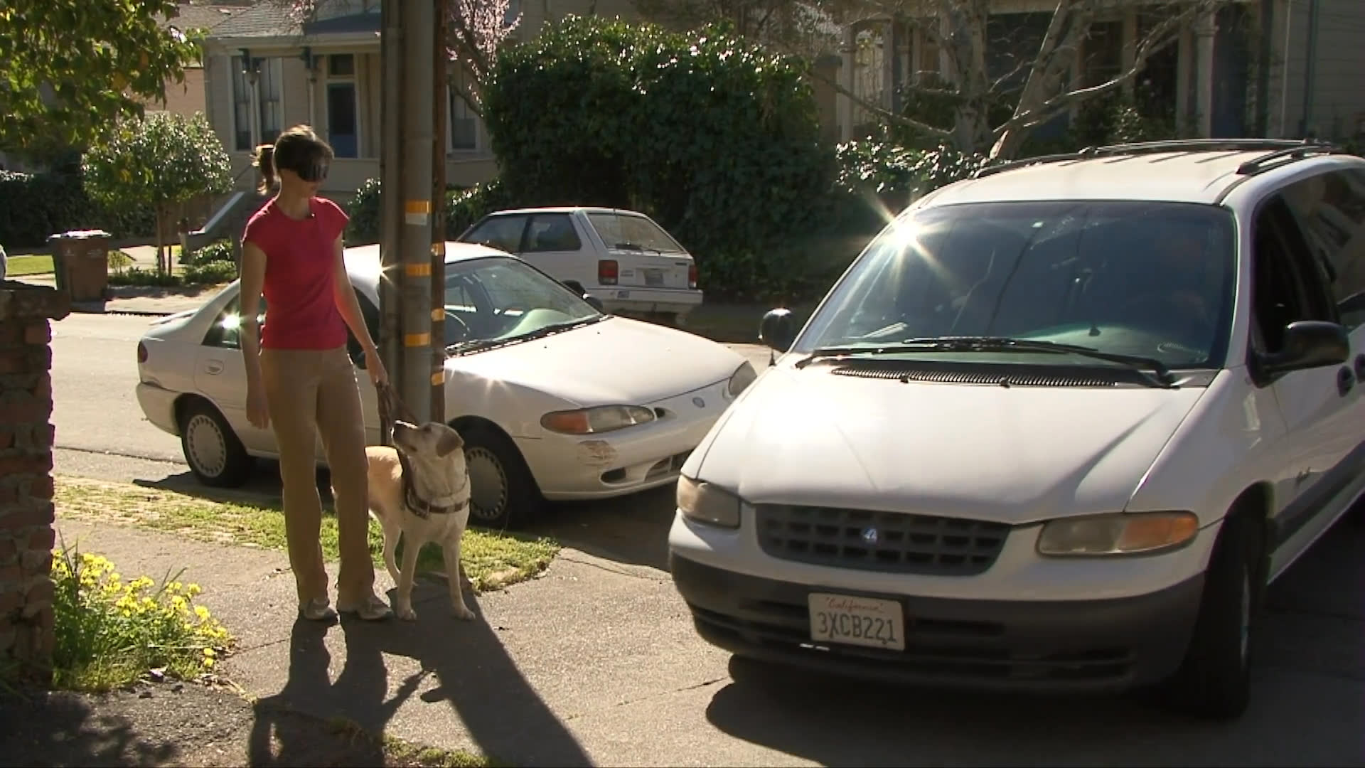 A person walks a dog along a sunlit residential street next to a parked van. The pair maintains a steady pace while navigating the sidewalk.