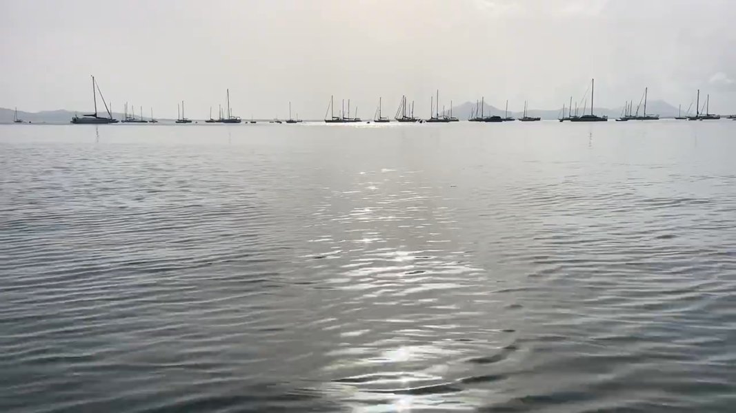 DAY 16: The 5 Minute RESET - no mat required.