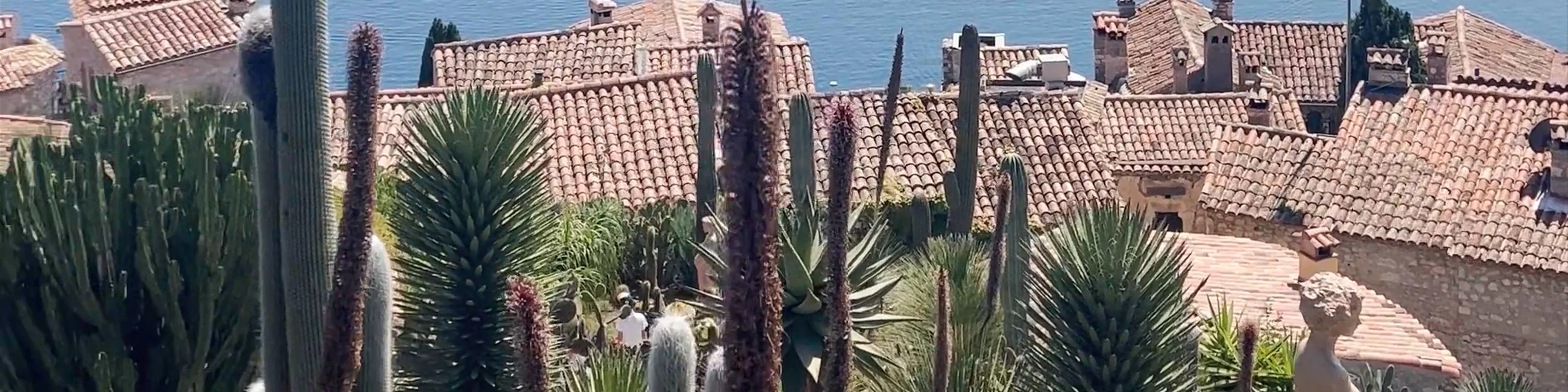 Le Jardin Exotique