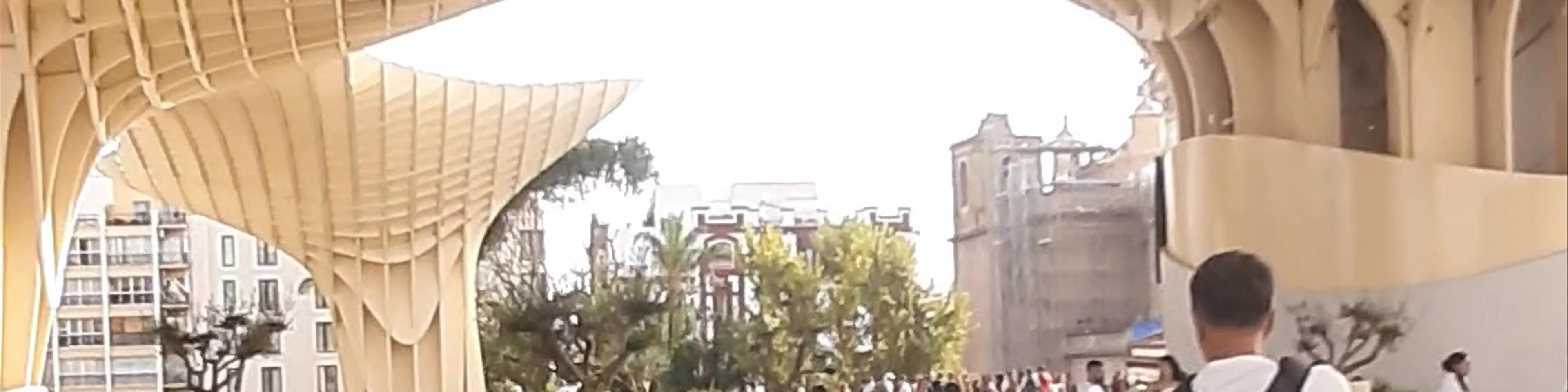 Setas de Sevilla