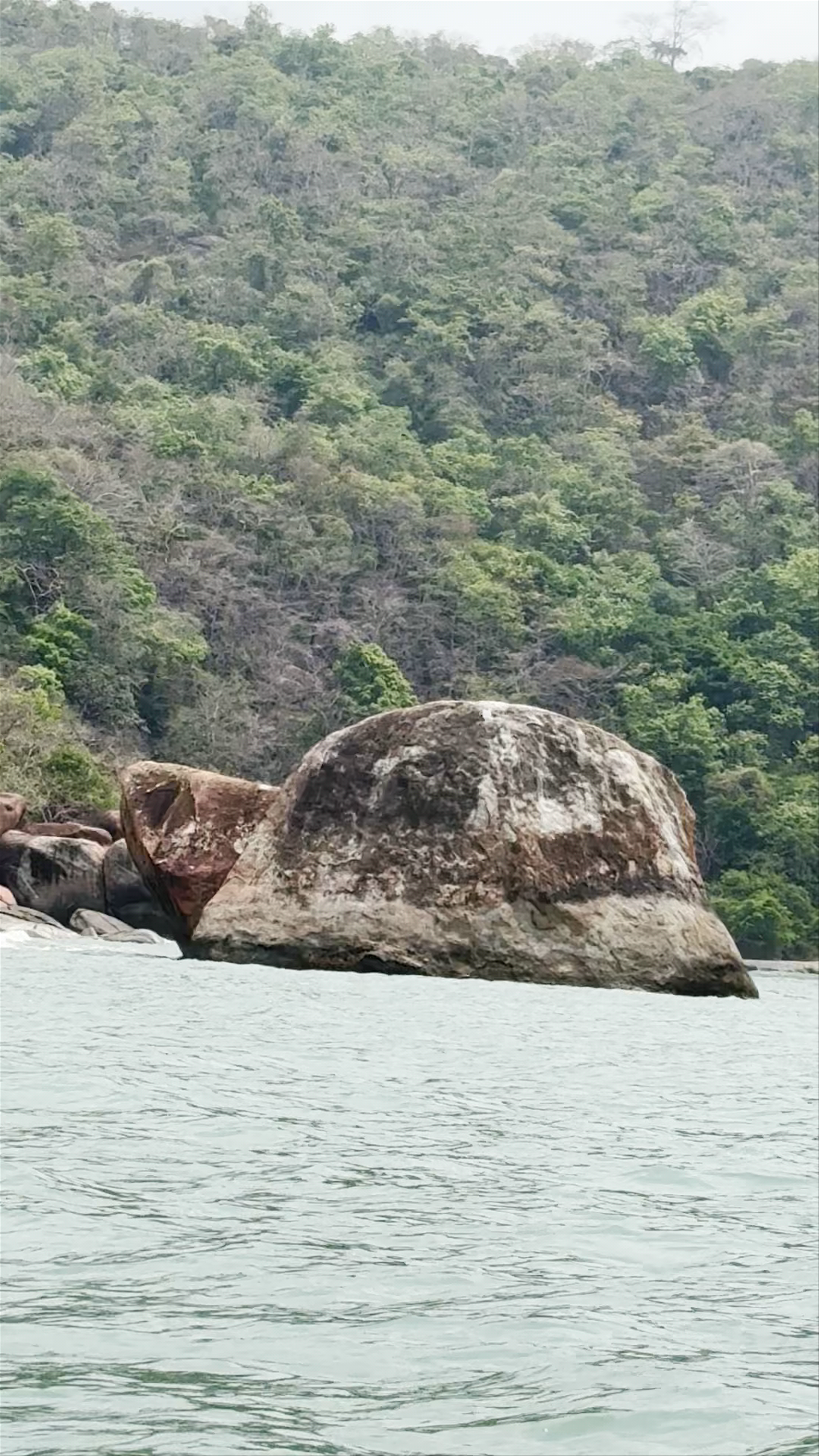 Turtle Rock