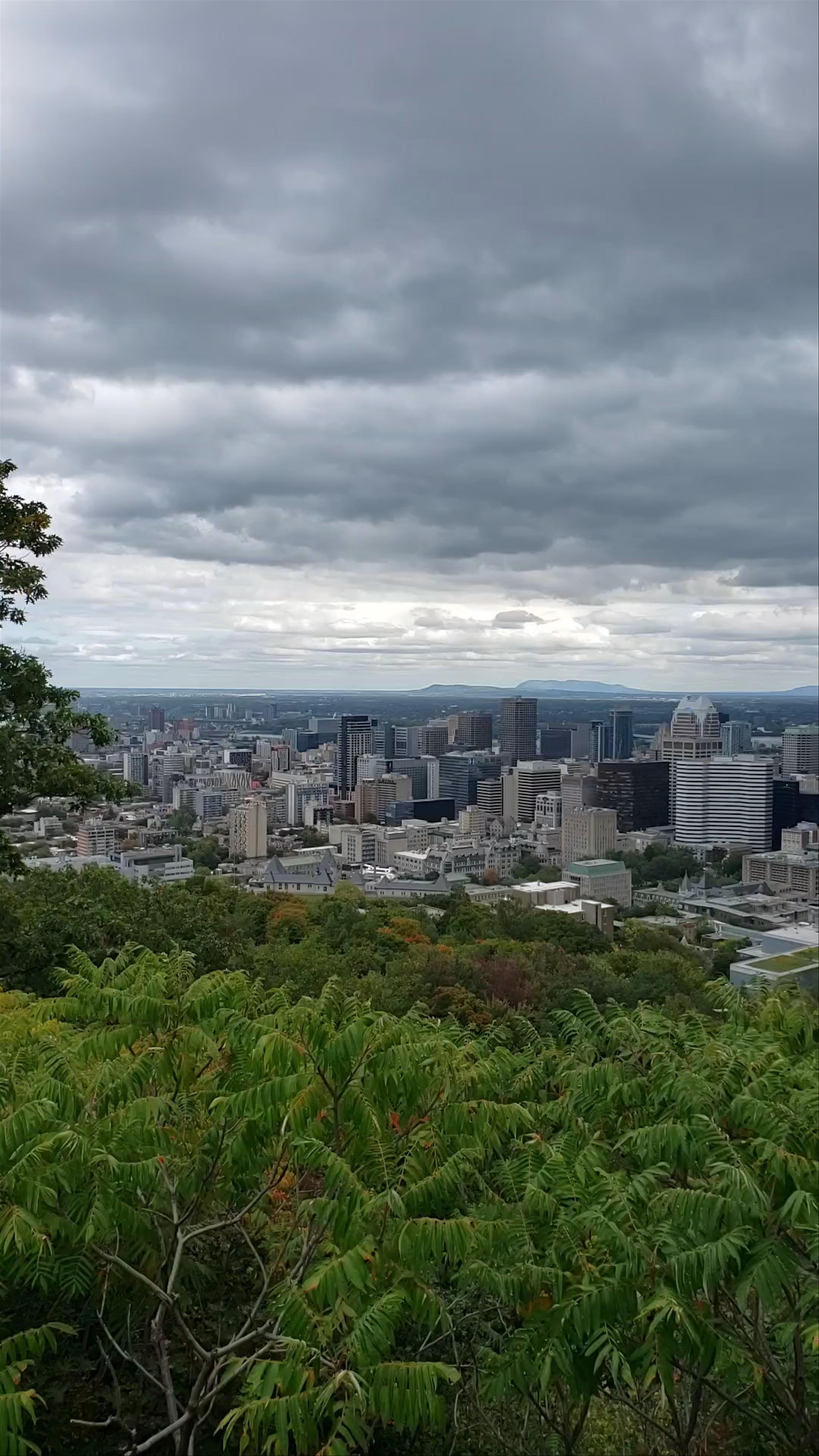 Mont Royal Panoramic View: Moody Skyline Over Montreal