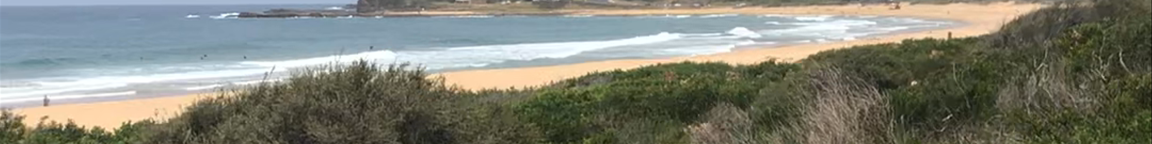 Tours & experiences in Gerringong