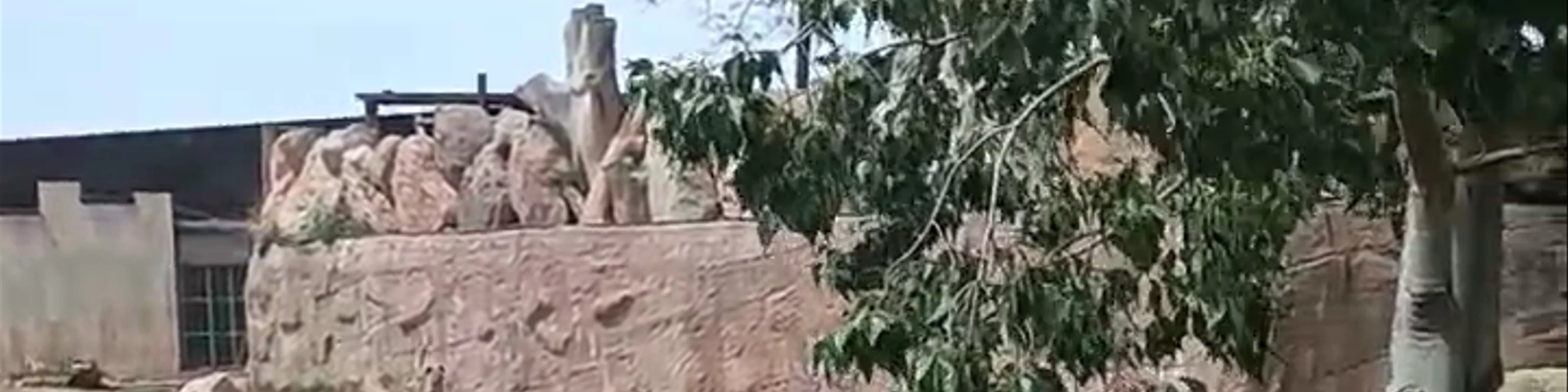 Terra Natura Murcia
