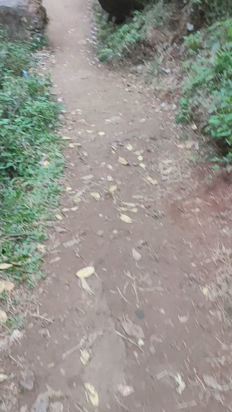 Photo of Trailing through the