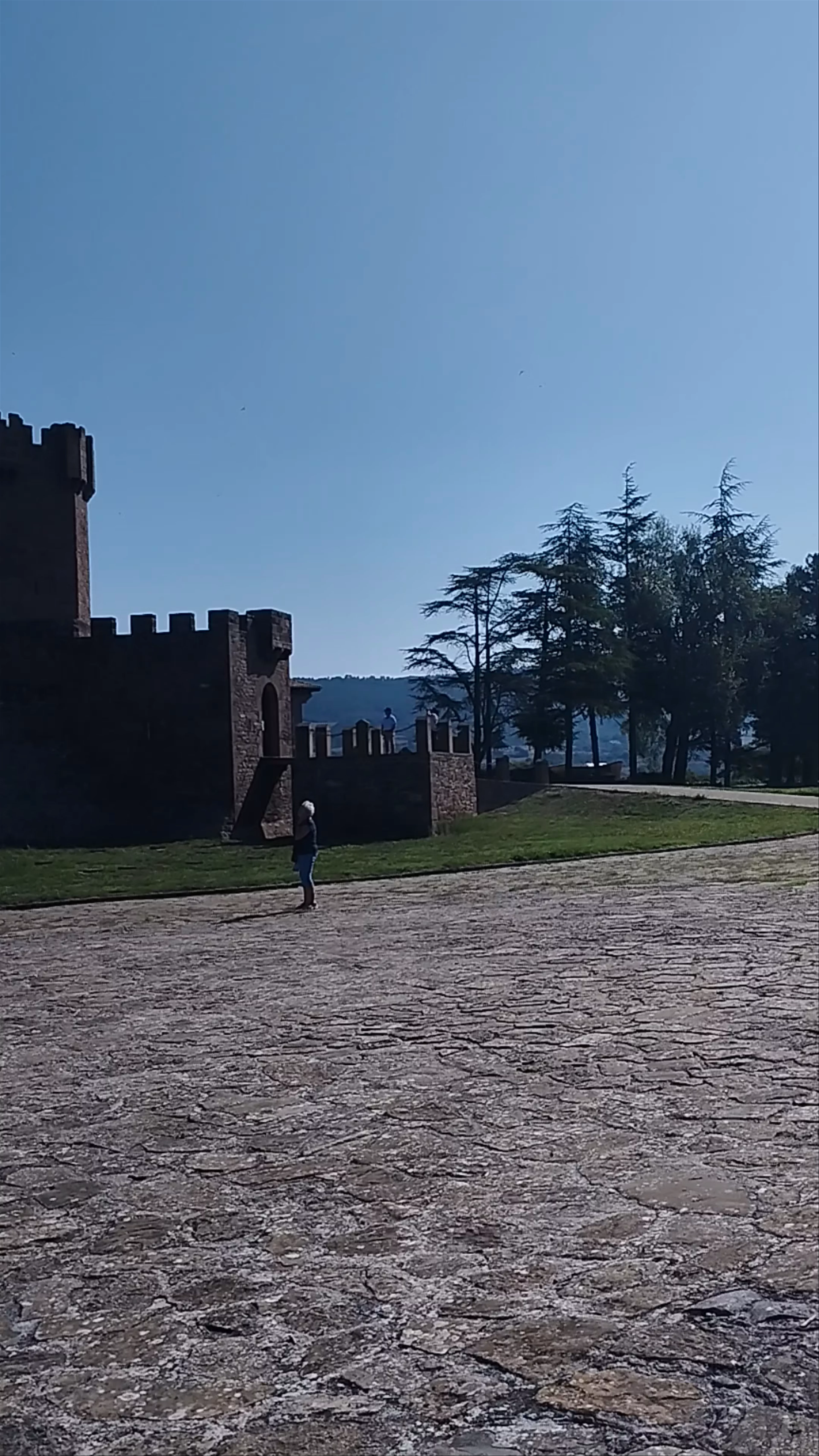 Castillo de Javier