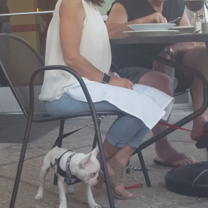 Marston's - My dinner time entertainment. - Breakfast & Brunch Near Me - Valencia, California