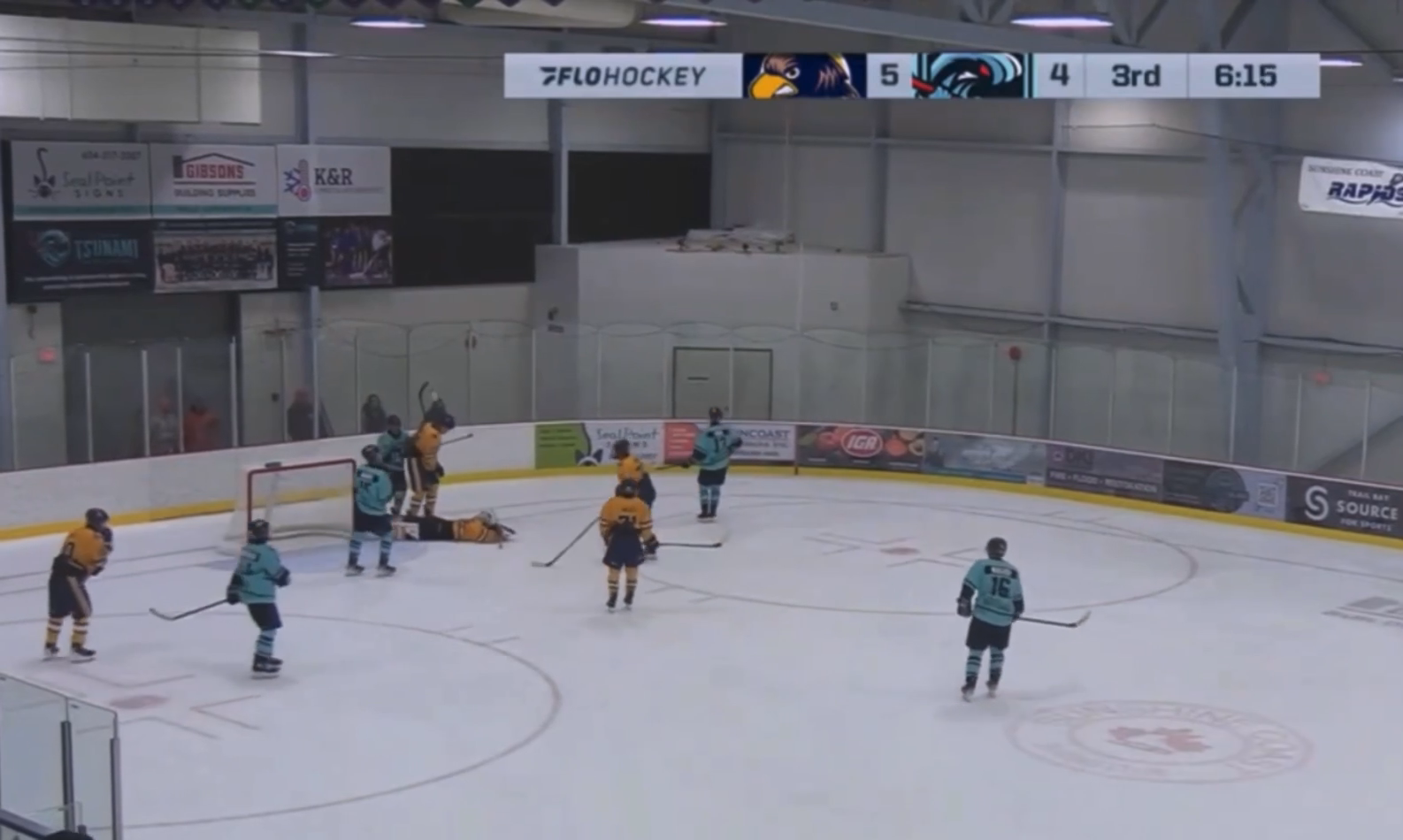 Dizzy Battles hard: Delta Ice Hawks vs Coastal Tsunami Highlights