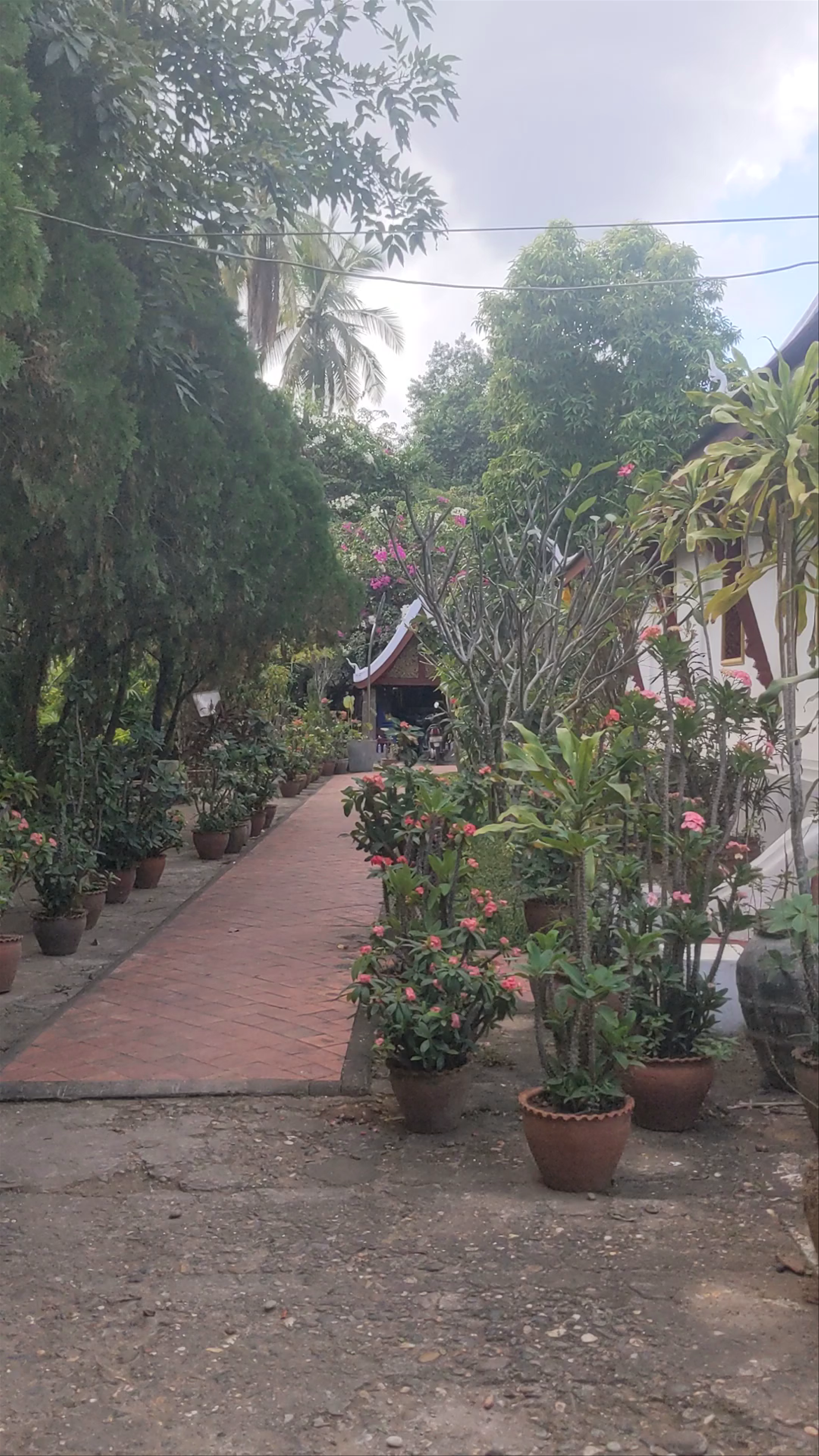 Wat Xiengthong