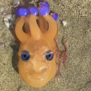 Small image 4