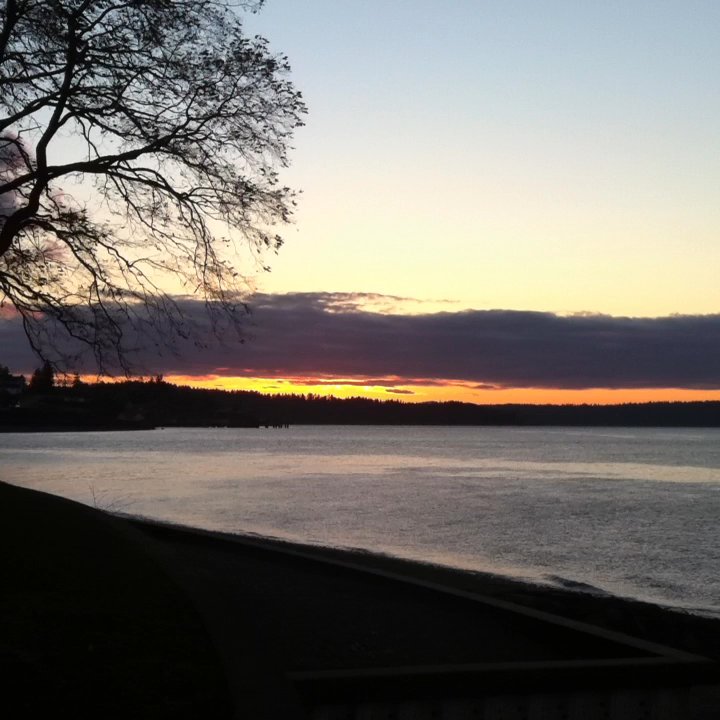 Sunnyside Beach Park - Sunsetting - Parks Near Me - Steilacoom, Washington