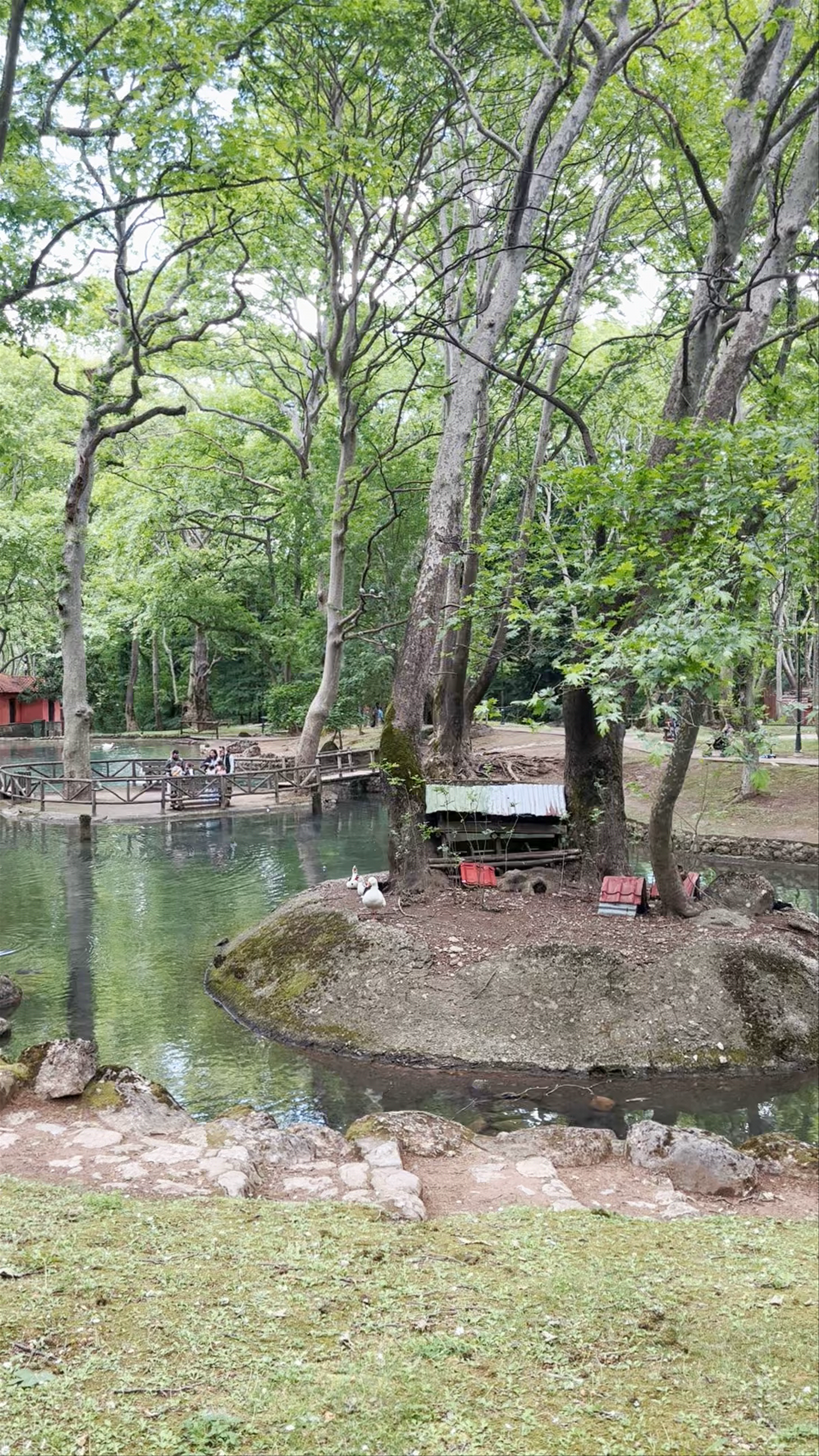 Tranquil Escape at Agios Nikolaos Park in Naousa, Greece