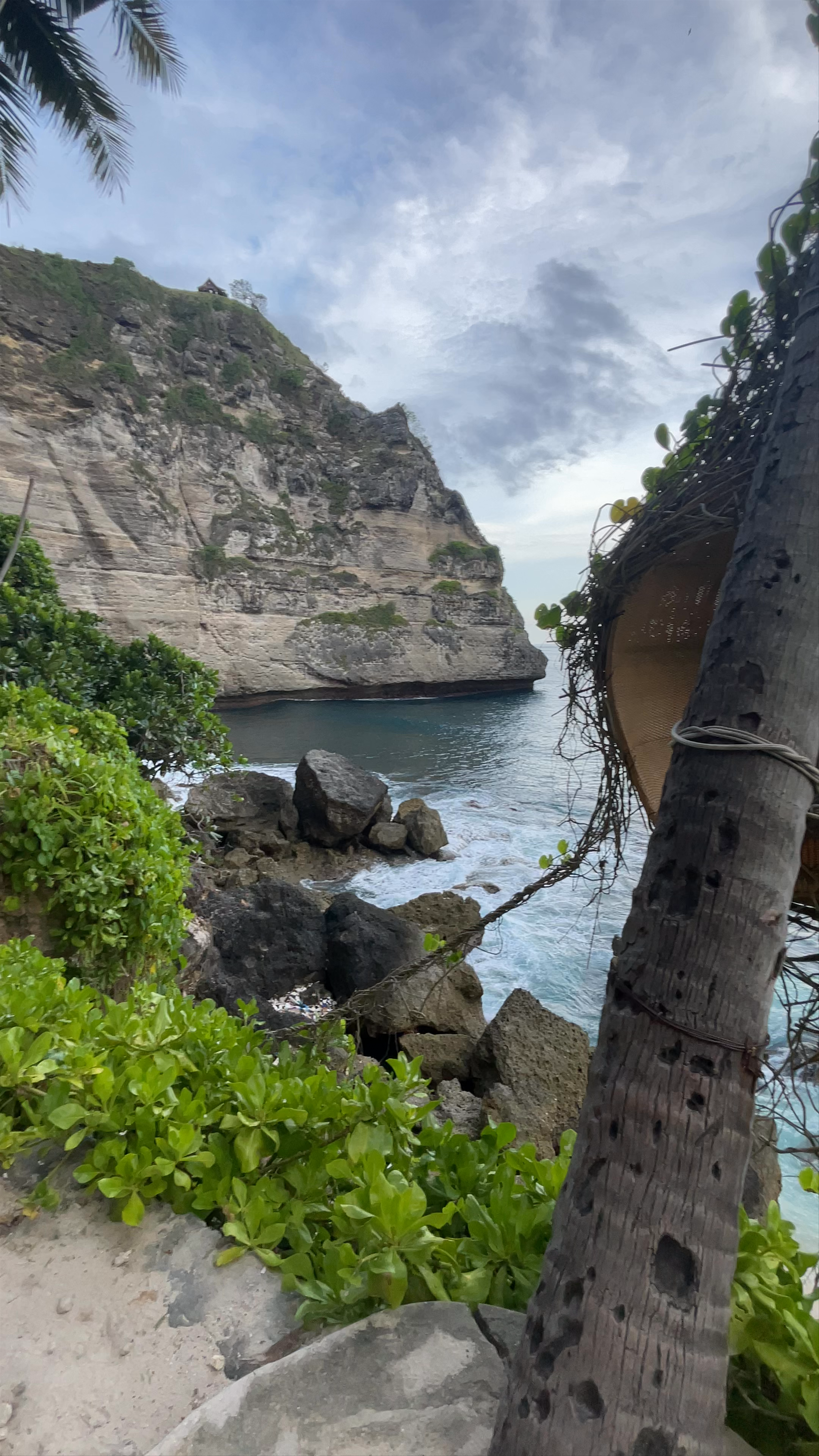 Diamond Beach Nusa Penida: A Tropical Coastal Sanctuary in Bali