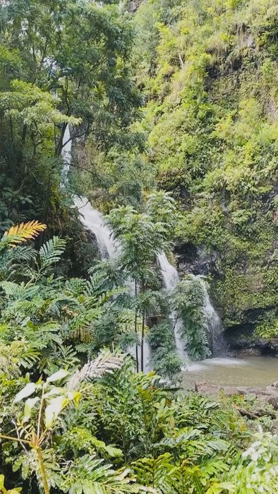 Upper Waikani Falls - 8.21.2024 - Landmarks & Historical Buildings Near Me - Haiku, Hawaii