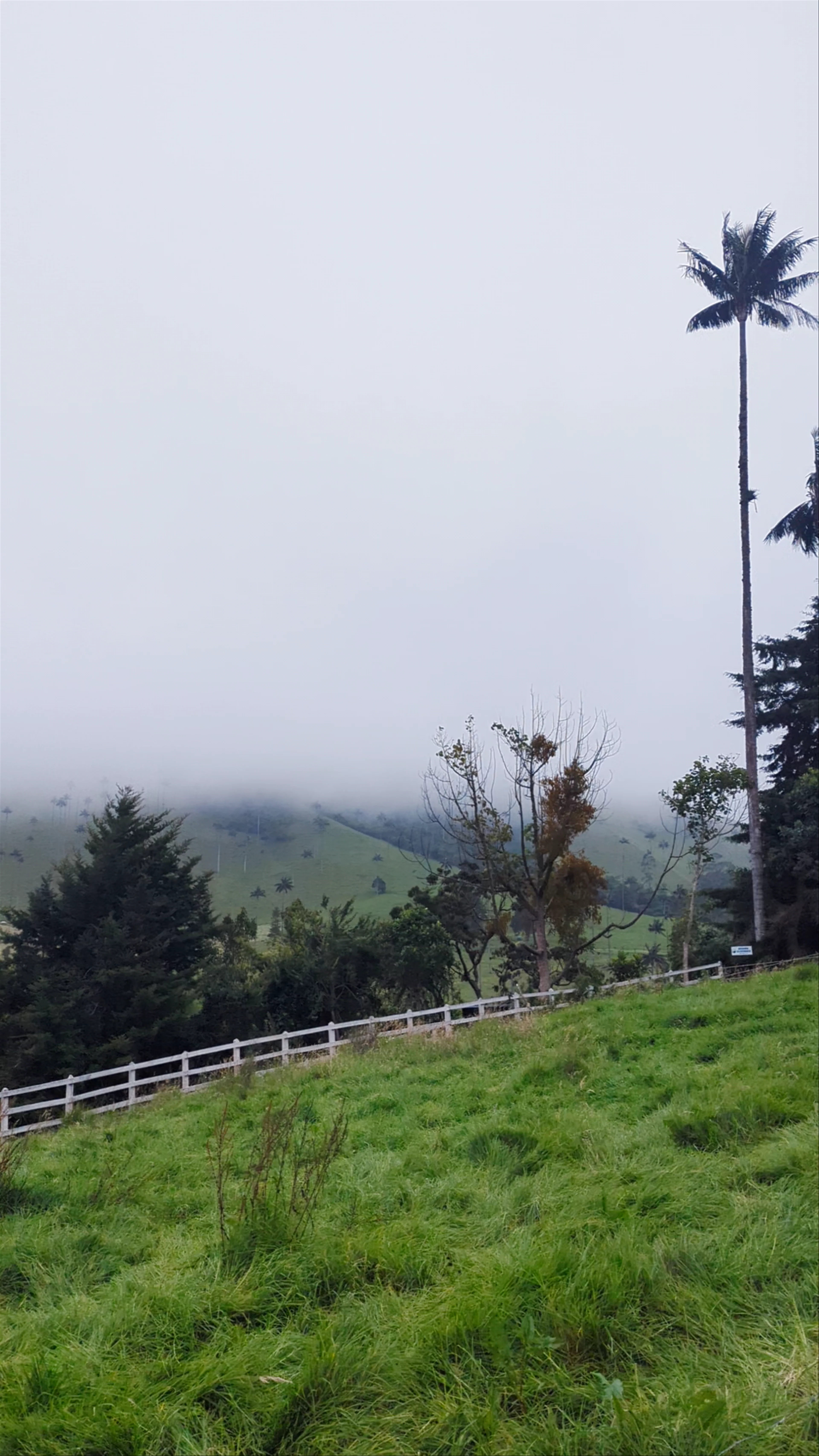 Cocora Valley Anticlockwise Trail Head