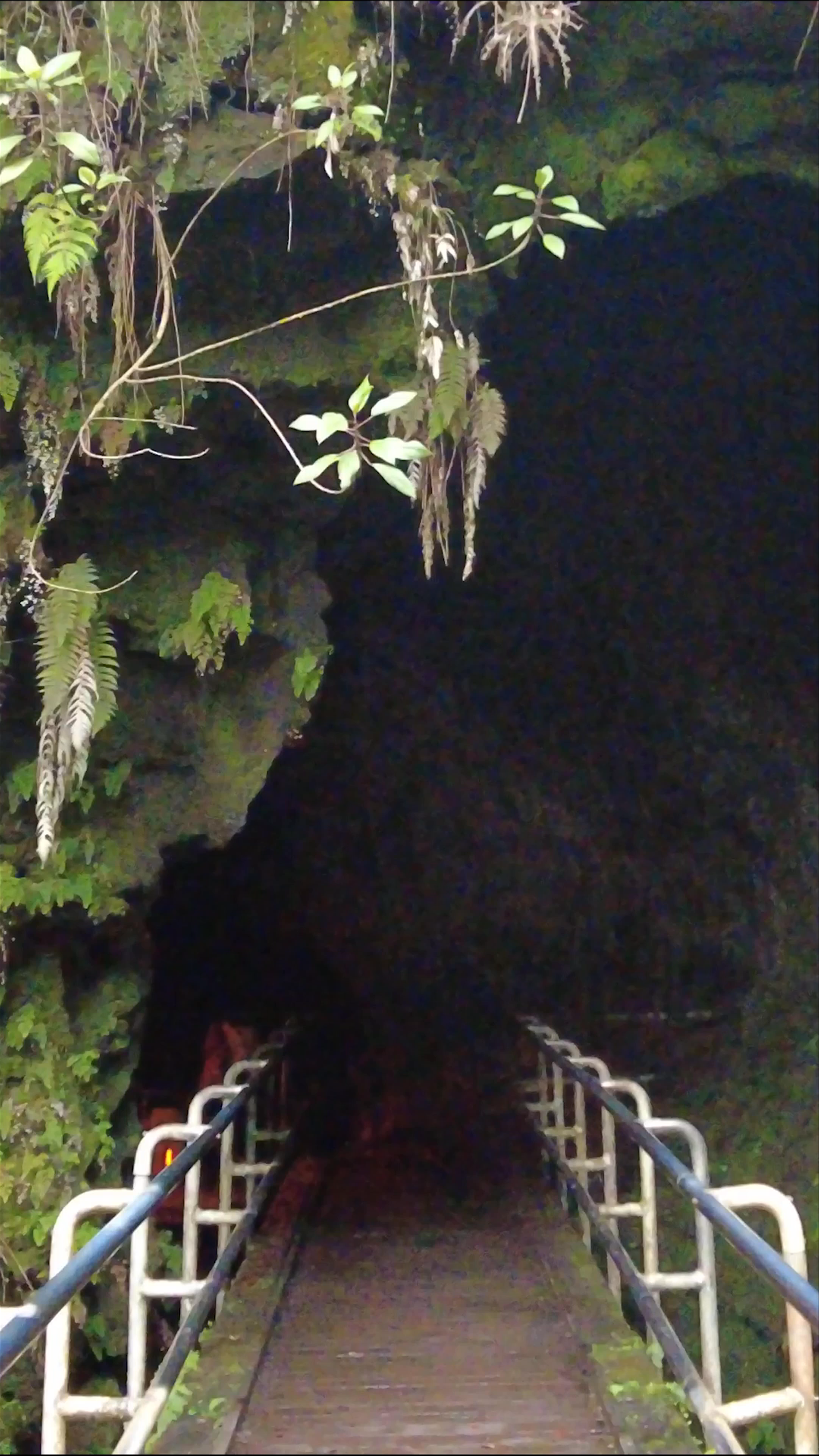 Tunnel de lave Thurston